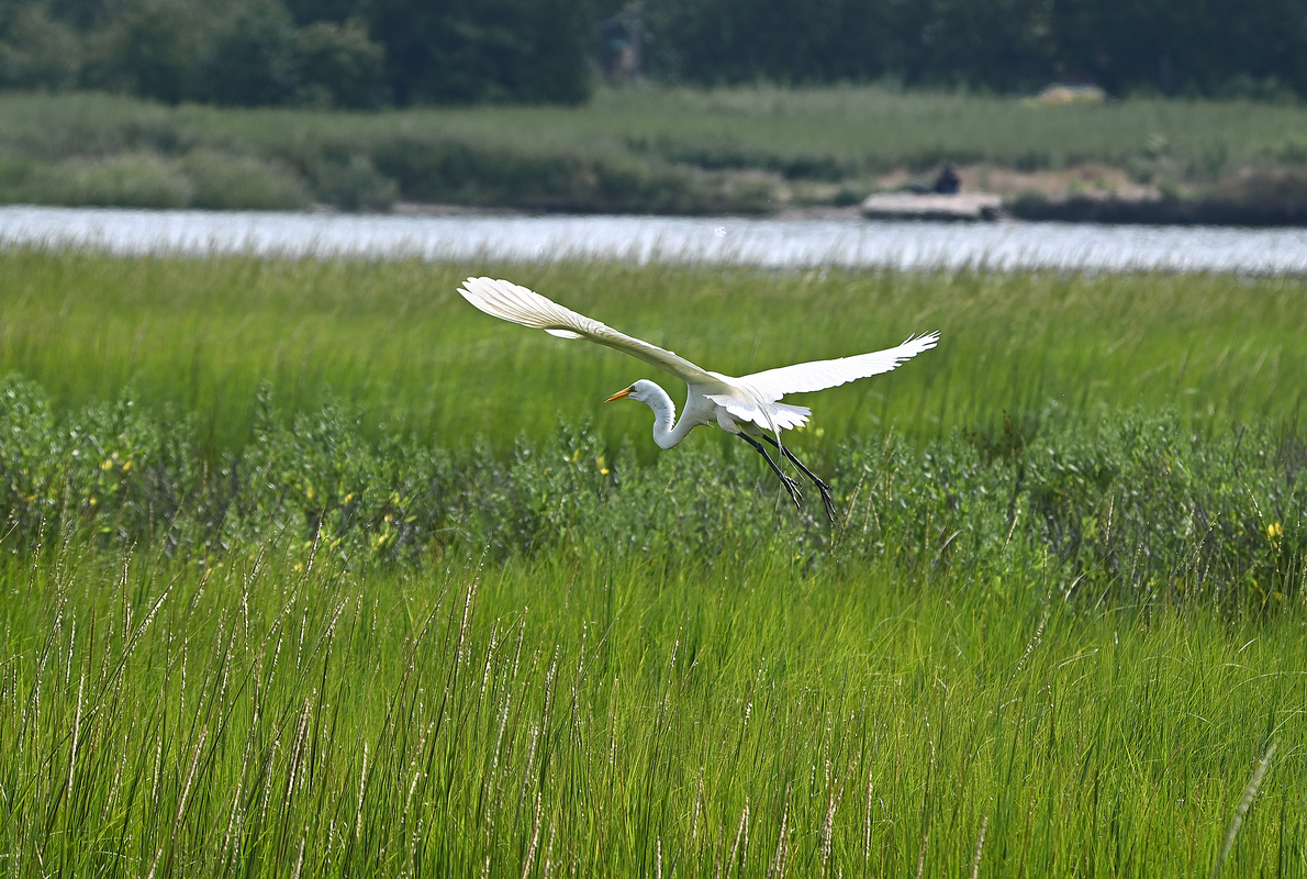 8 Парки Нью-Йорка