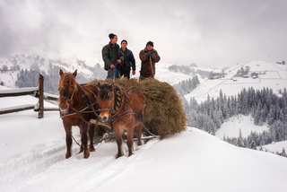 Заготівля сіна