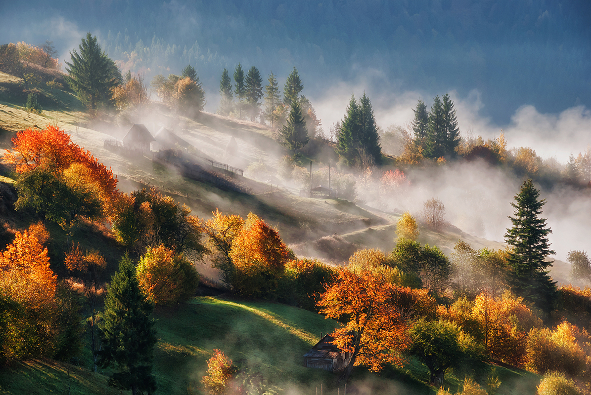 Золота осінь