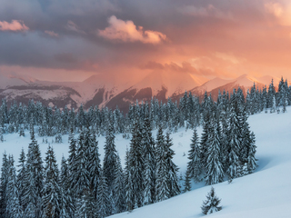 Зимові вершини