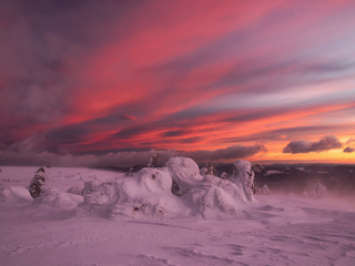 Зимовий ранок