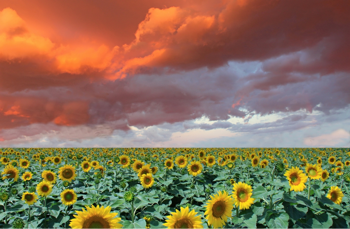 Thunderstorm from the northeast