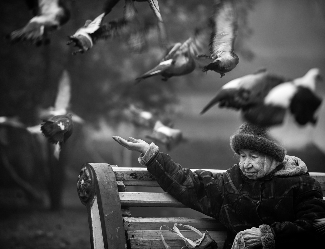 years are like birds