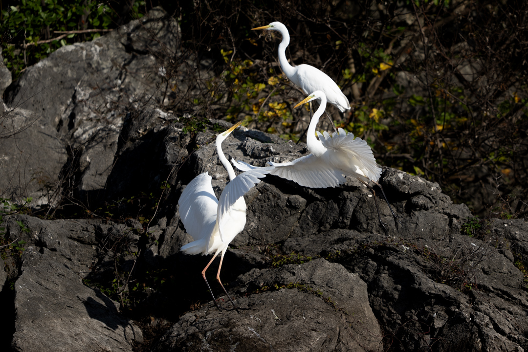 Thats my wife, not mine