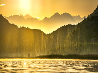 Roje pakomárov 0-150m