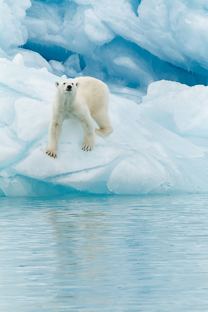 Joan Gil / I see you