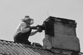 Beekeeper on the roof