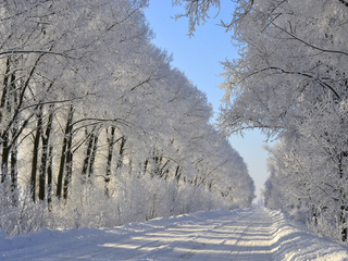 On the road with frost