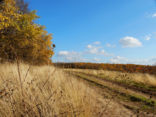 The road in autumn