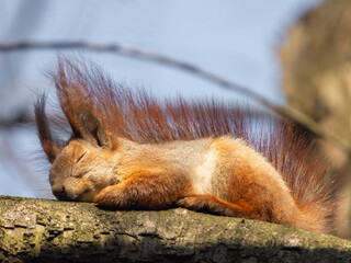 I'm still sleeping...