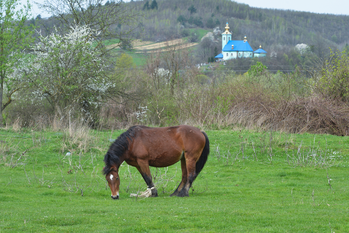 On the edge of the village.