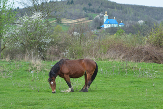 On the edge of the village.