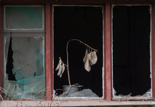 Ізюмська квітка