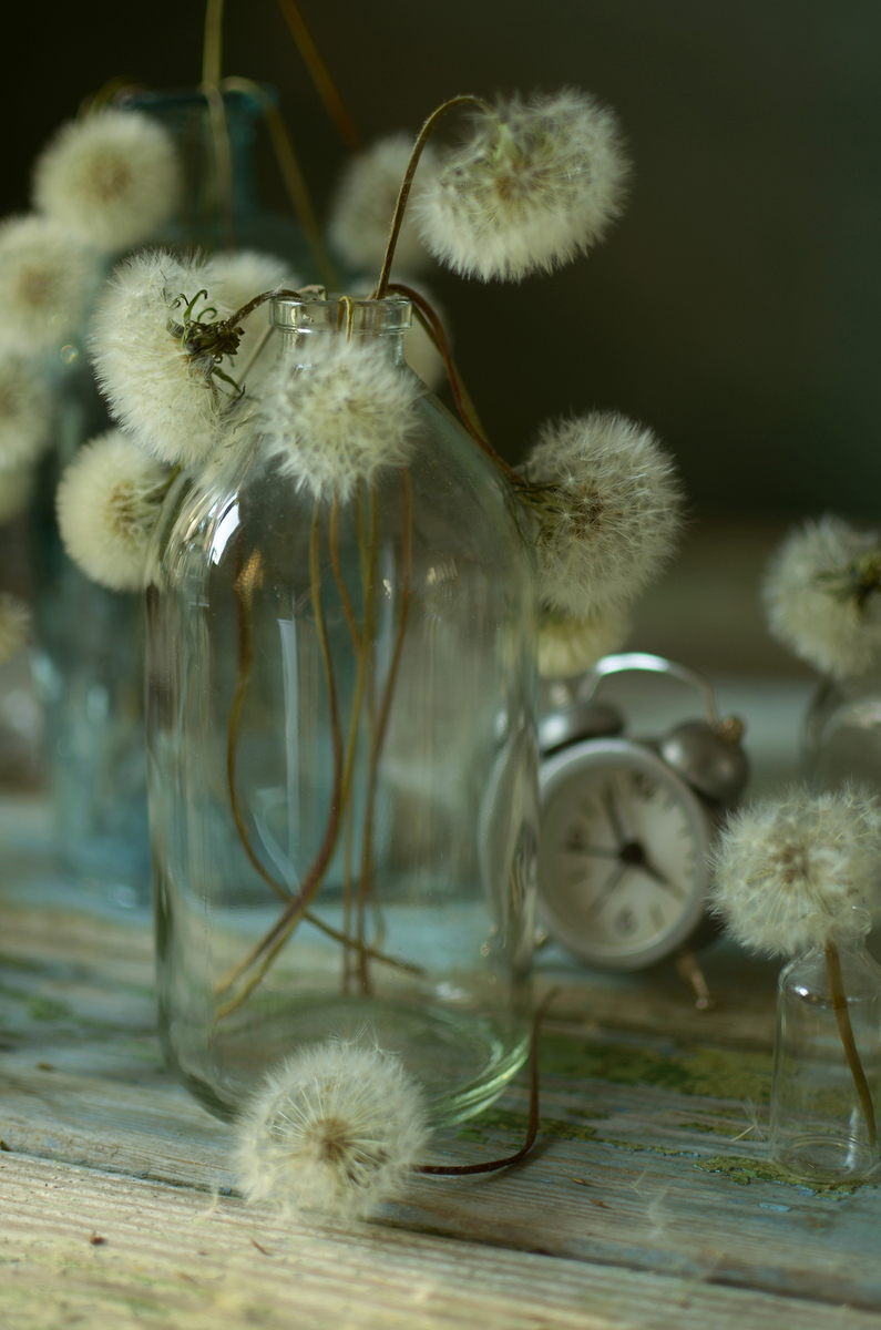 Як швидко плине час