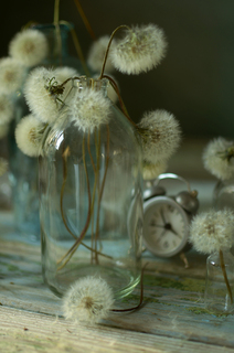 Як швидко плине час