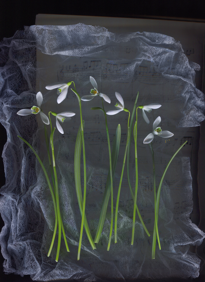 Мелодія весни