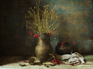 Маки та калина