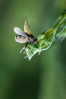 Waiting for the flight
