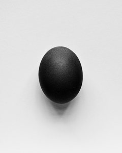 Egg