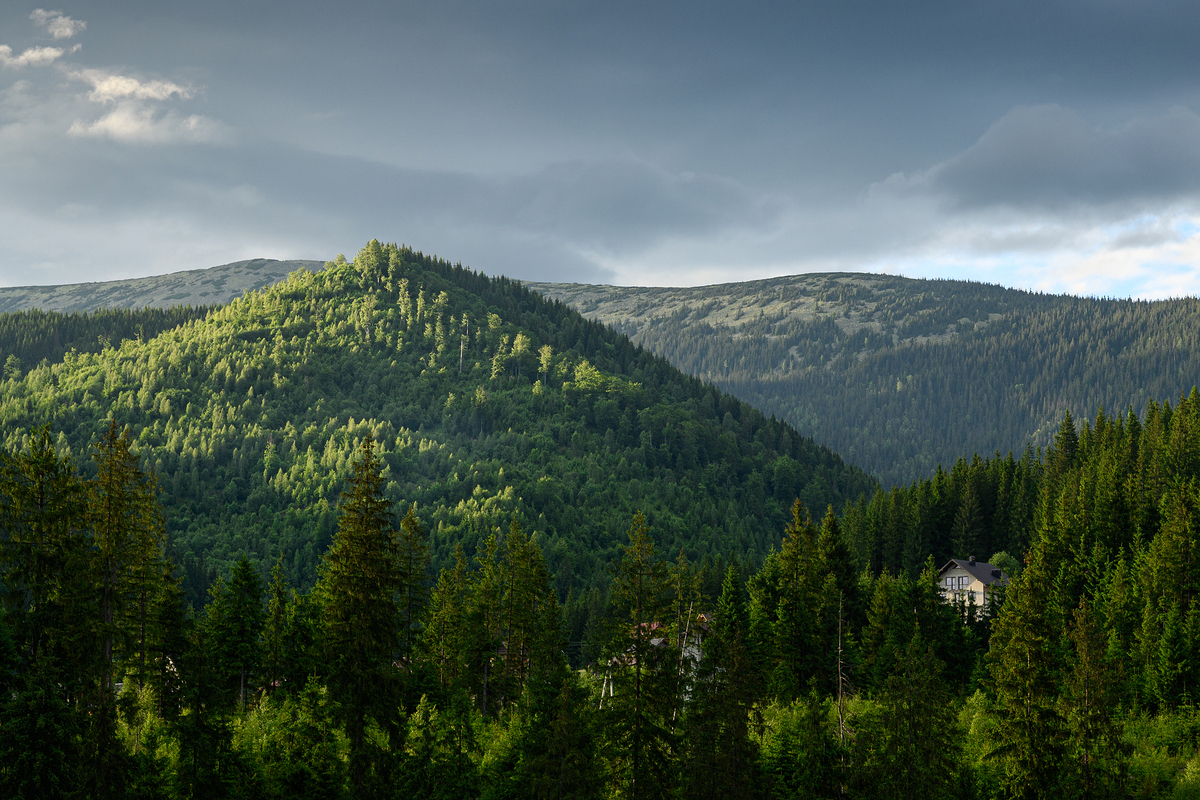 Carpathians