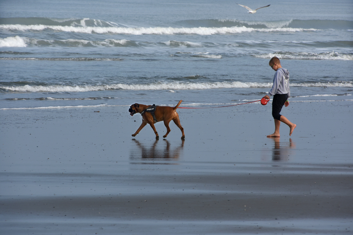 A walk along the seashore