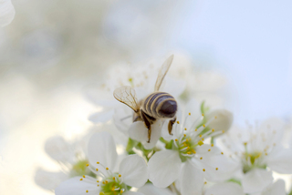Трудові будні