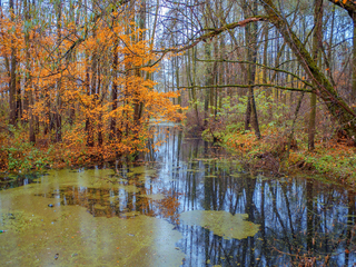 Тиха річечка