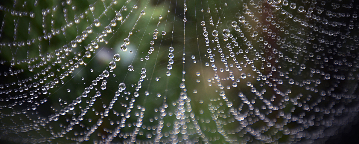 Крапельна занавес 