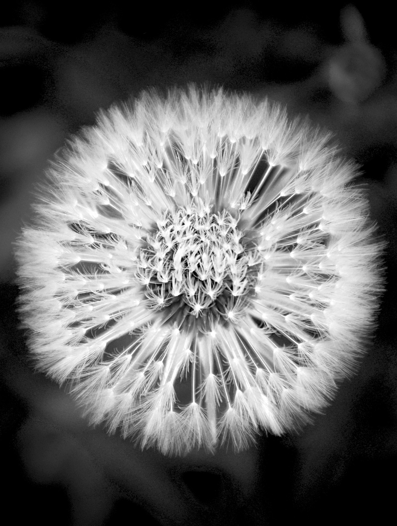 Модна зачіска