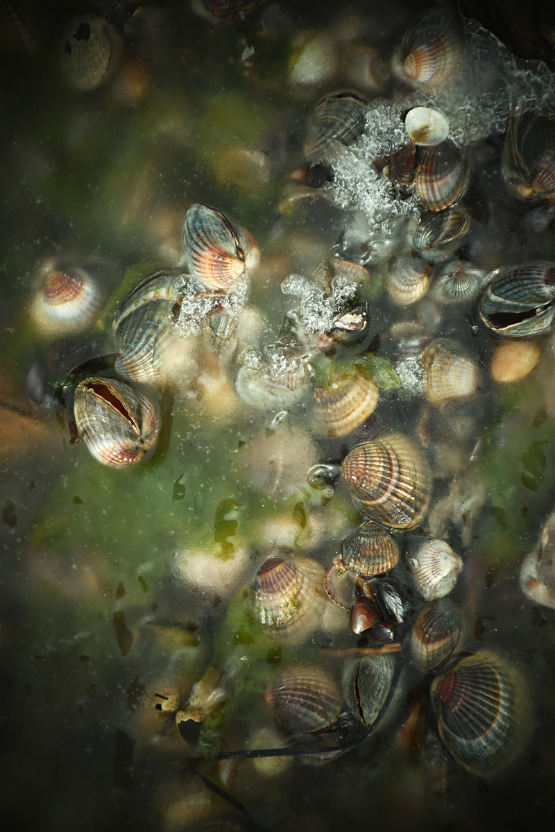 Час зупинився