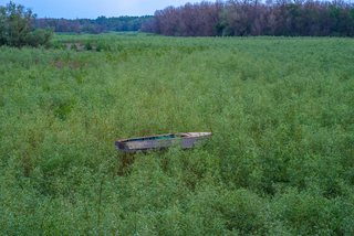 покинутий ... (наслідки підриву Каховської ГЕС)