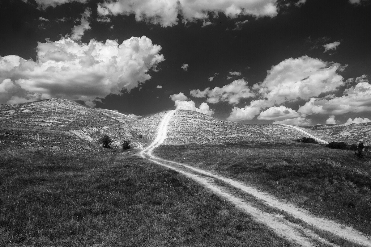 Український Донбас.