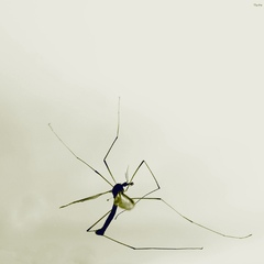 Мінімалізм