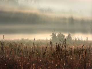 Fog fell on the valley...