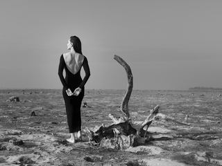 The story of unspoken words