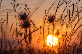 Вечірній степ