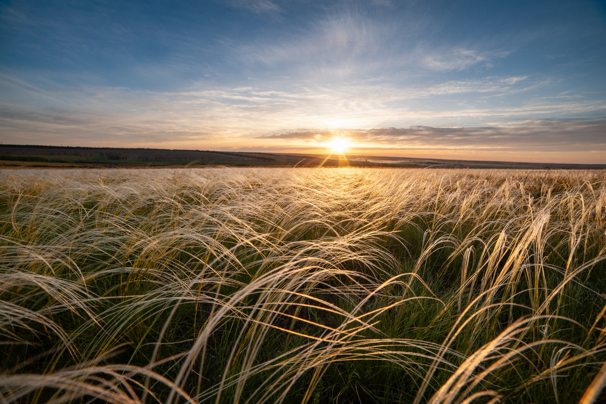 Золотий світанок