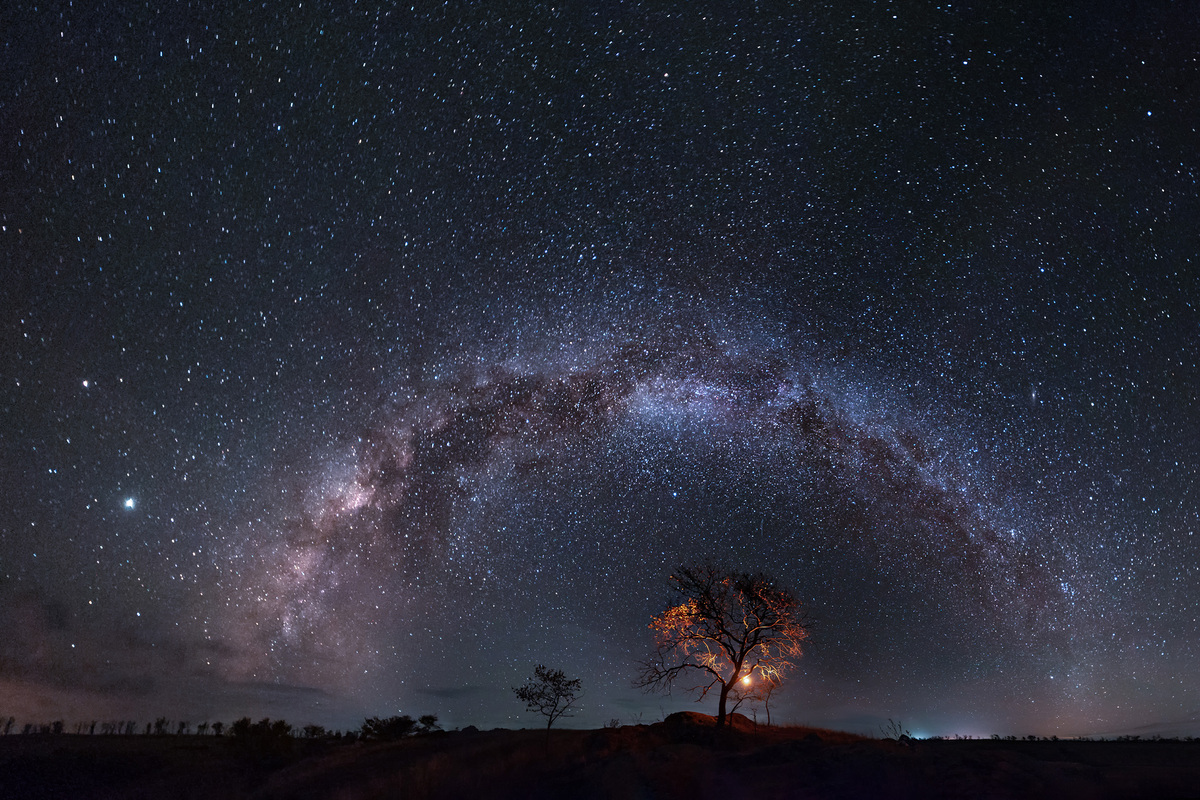 Ніч у степу