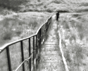 Дорога в серпень