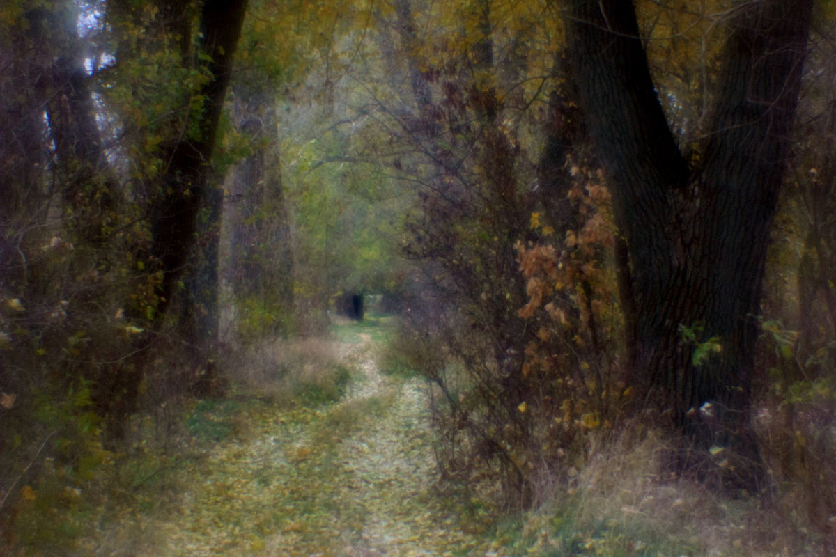 Запах осені