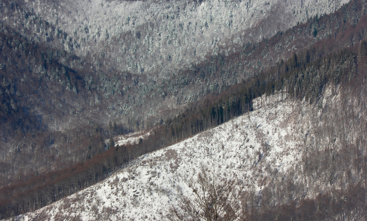 Зимові патерни Карпат