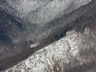 Зимові патерни Карпат