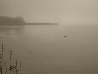 На одинці з ранком