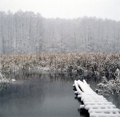 Watercolours of the First Snow