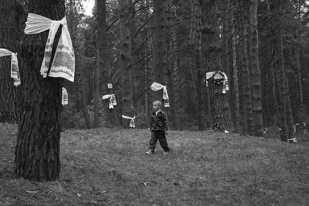 A walk in the Bykivnia Forest