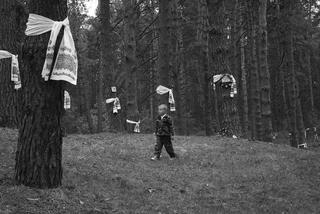 A walk in the Bykivnia Forest