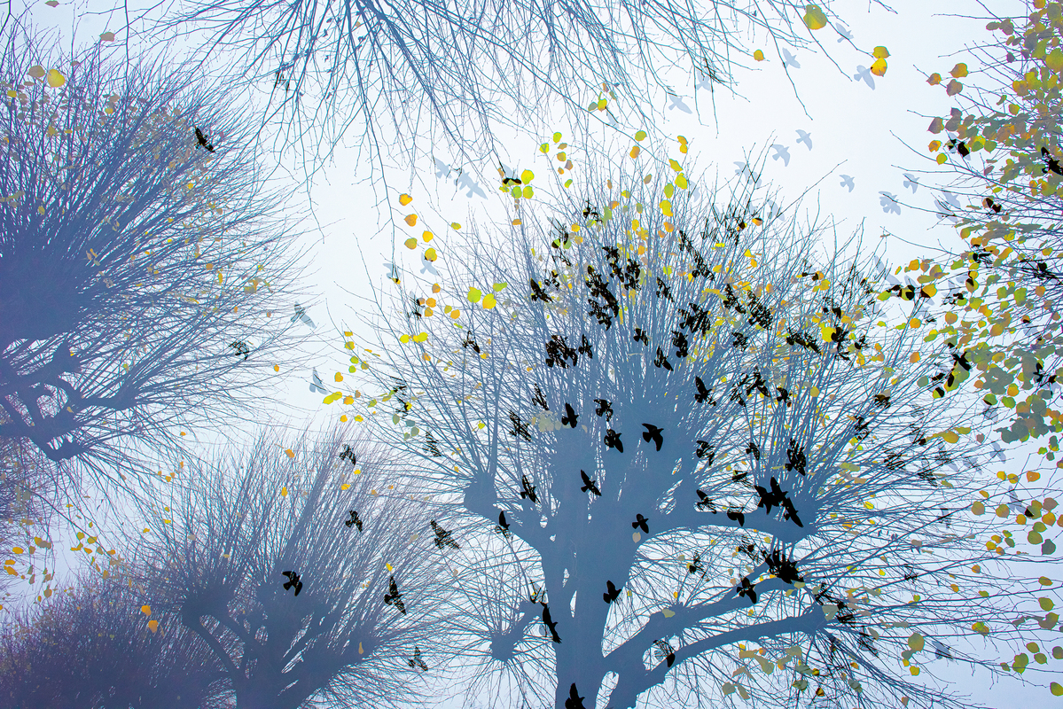 Володимир Оглоблін / Autumn that flies away