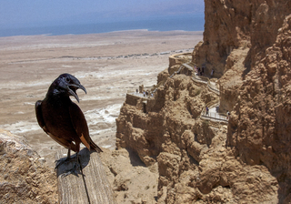 andrii nesterenko_ kiyv_model