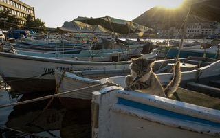 andrii nesterenko_ kiyv_ribachok