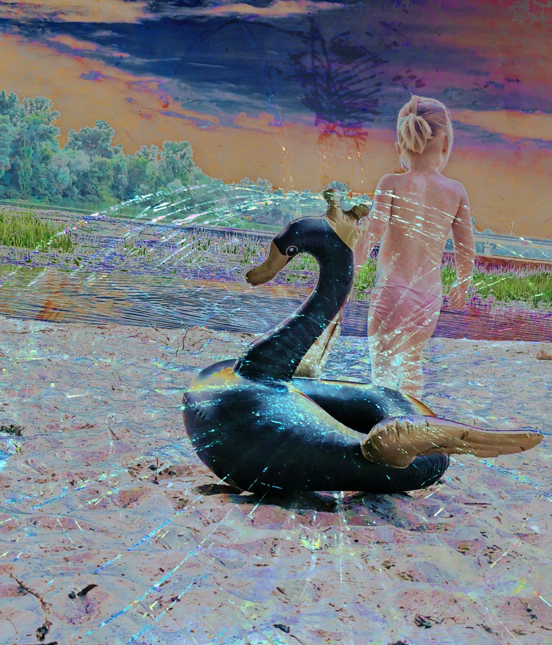 Метелик і чорний лебідь